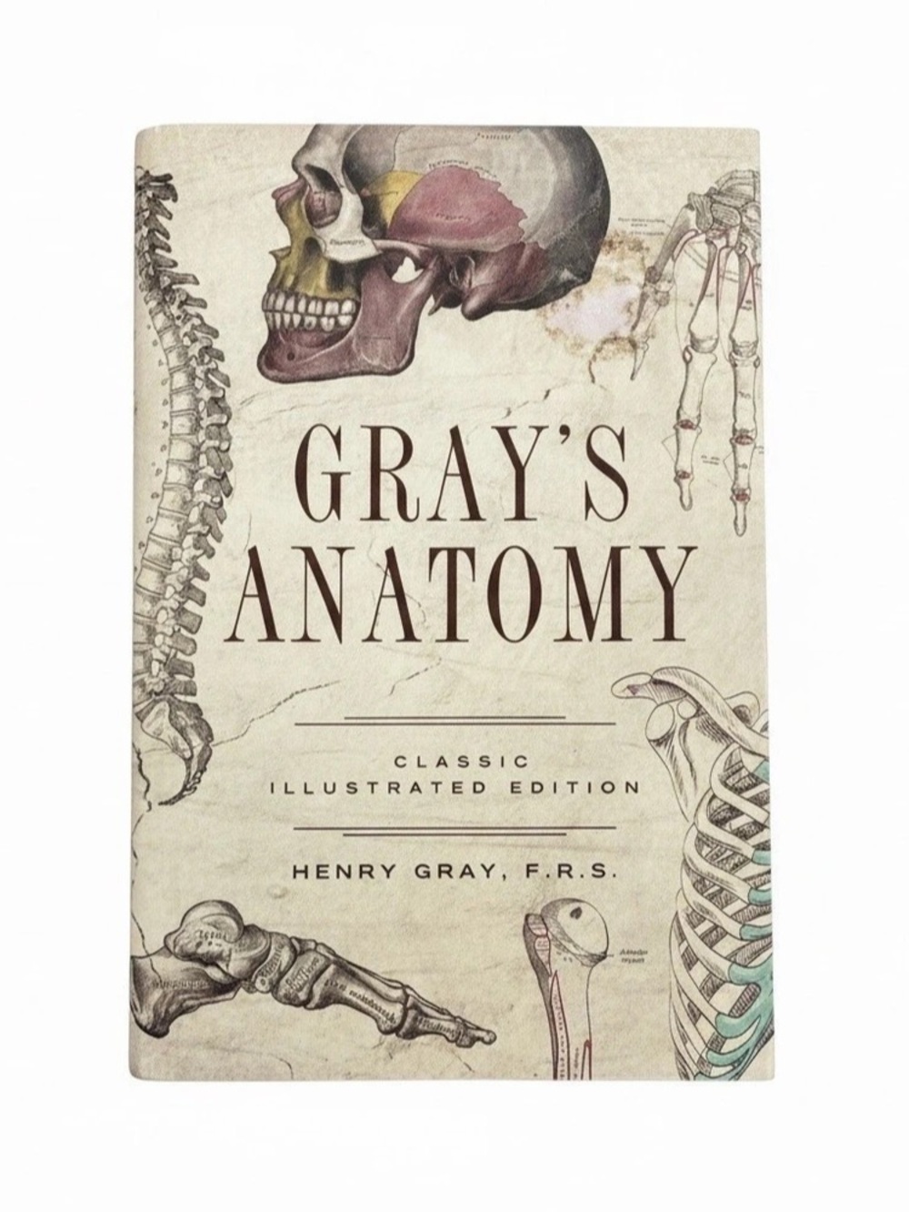 Barnes & Noble / Fall River Press Gray's Anatomy Classic Illustrated Edition